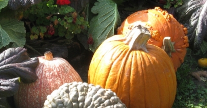 Announcements - October 7, 2018 image