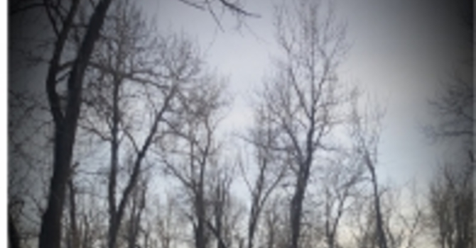 Announcements March 19, 2017 image