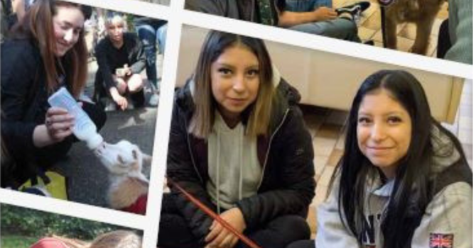 UVic Multifaith Chapel Pet Cafe In the News image