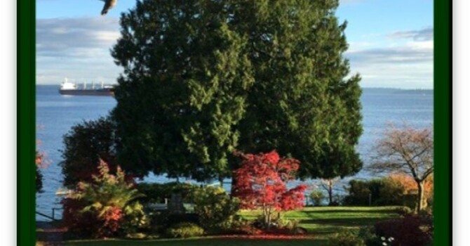 Announcements - February 16, 2020 image