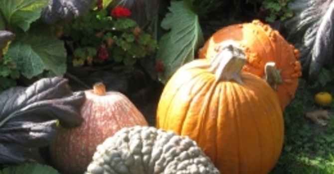 Announcements October 9, 2016 image