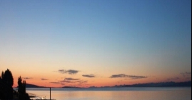 Announcements January 22, 2017 image