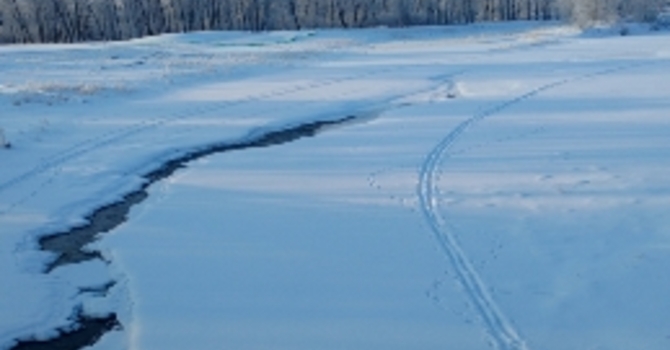 Announcements February 5, 2017 image