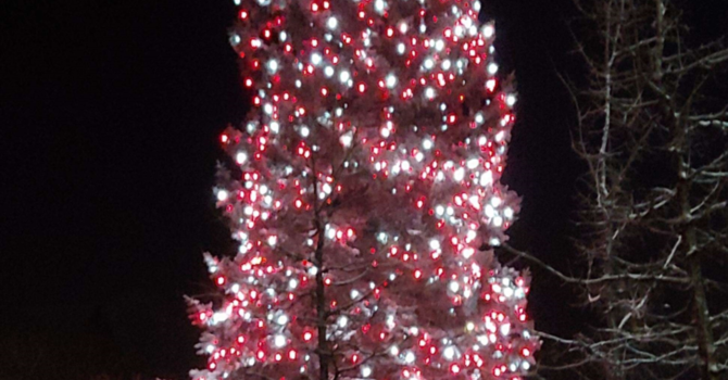 Announcements - December 23, 2018 image