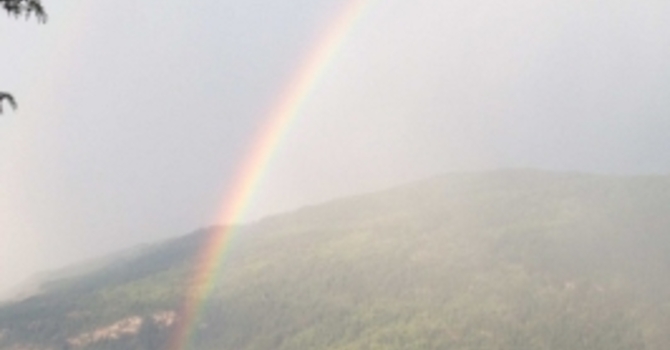 Announcements October 30, 2016 image