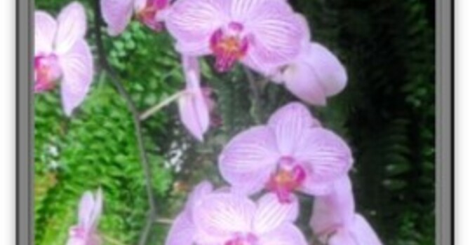 Announcements - November 3, 2019 image