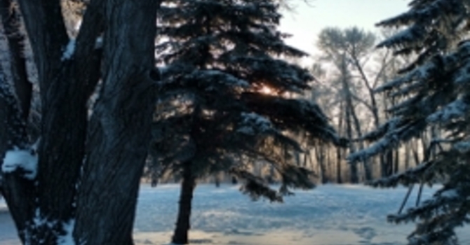 Announcements January 15, 2017 image