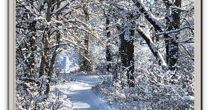 Announcements - February 9, 2020 image