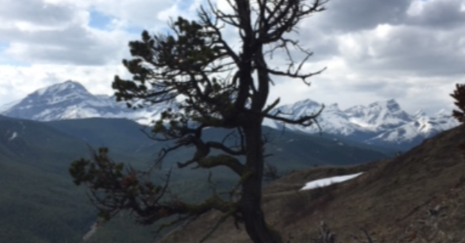 Announcements - January 10, 2019 image