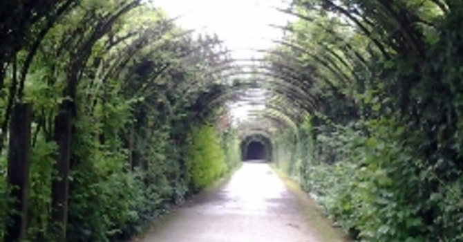 Announcements May 21, 2017 image