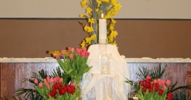 Announcements April 16, 2017 image