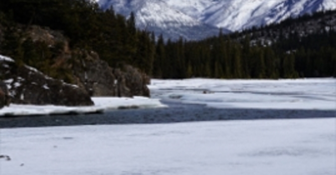 Announcements February 26, 2017 image