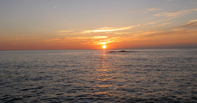 Announcements February 11, 2018 image