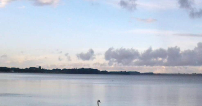 Announcements January 28, 2018 image