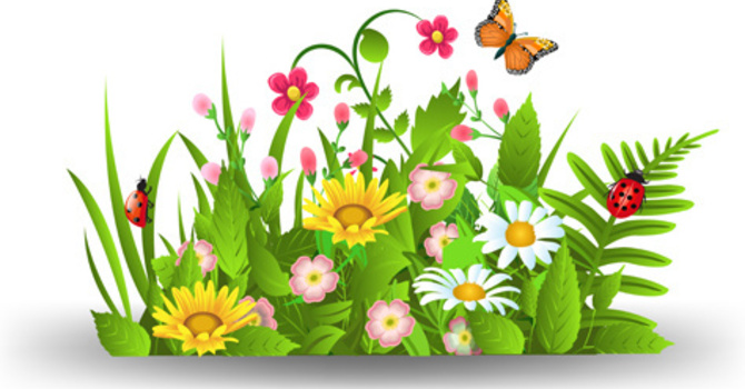 Annual Plant Sale  image