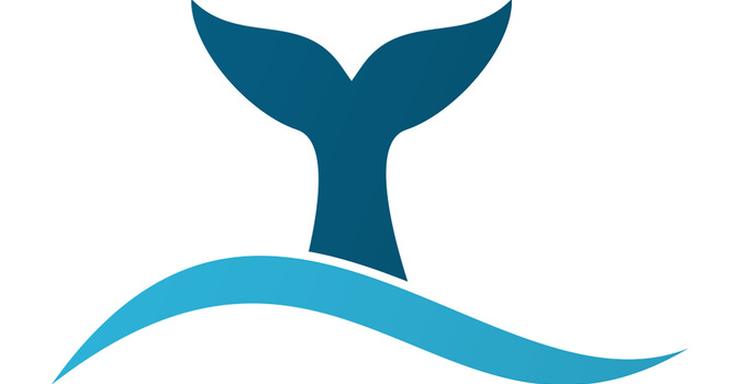 Convictions from the Belly of a Whale