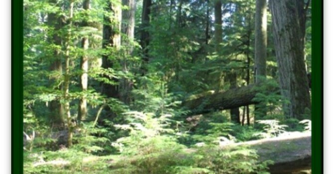 Announcements - November 17, 2019 image