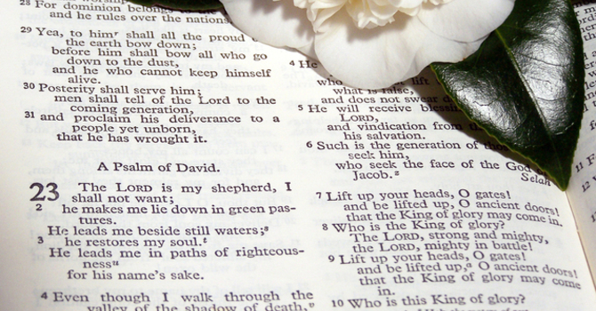 Focus Theology Short Course