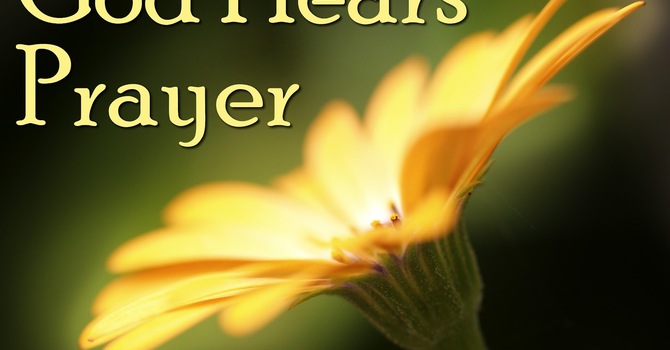 Three Ways We Can Respond in Love to the Charlottesville Rally  image