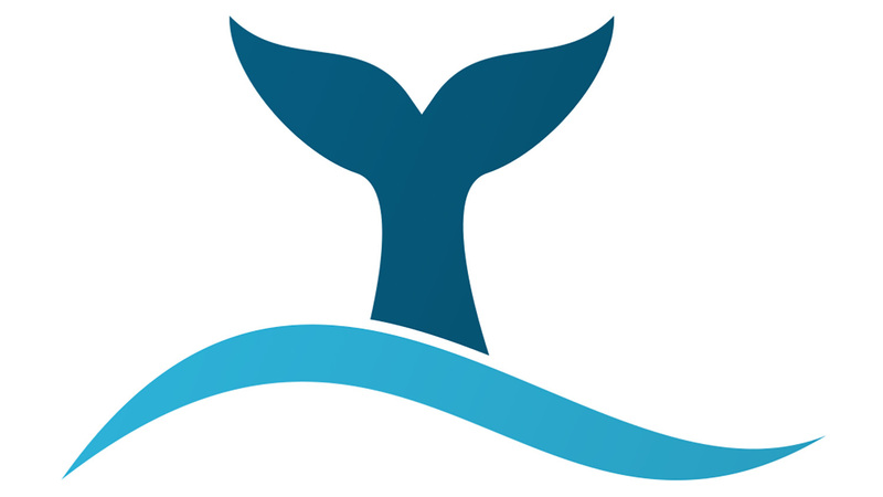 Convictions from the Belly of a Whale