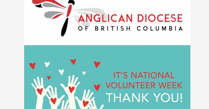 Diocese Launches New E-News image