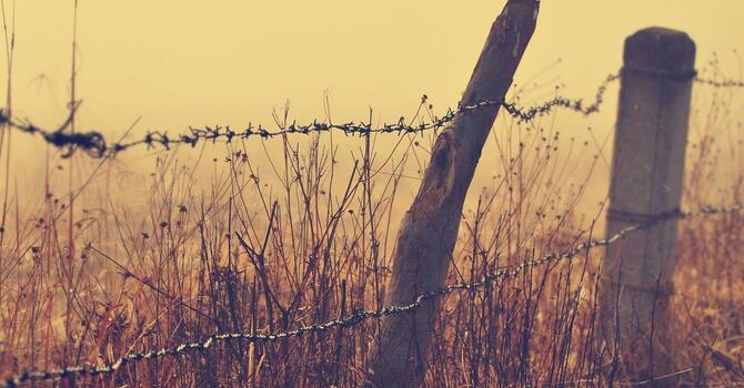 Barbed Wire Fence image