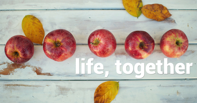 Life, Together image