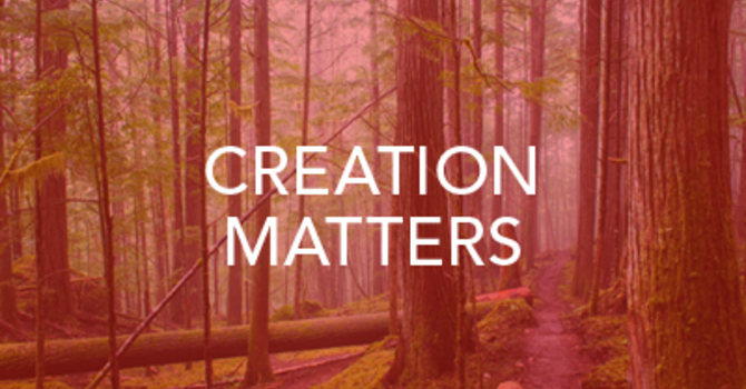Creation Matters