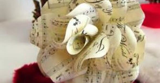 Cantata - Winter Rose image