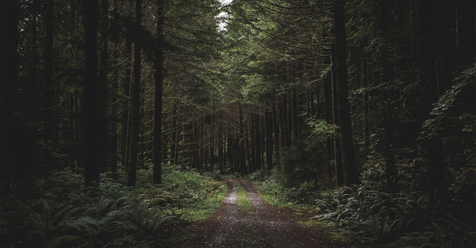 Believing in What We Say we Believe image