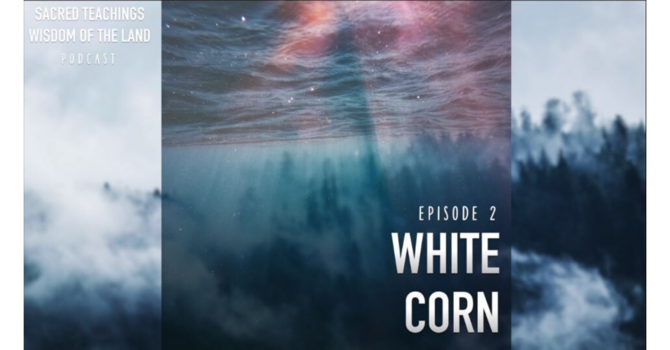 Episode 2: White Corn