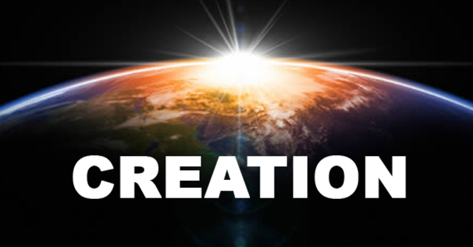 TAC Kids: God Created the World image