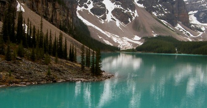 Announcements November 26, 2017 image