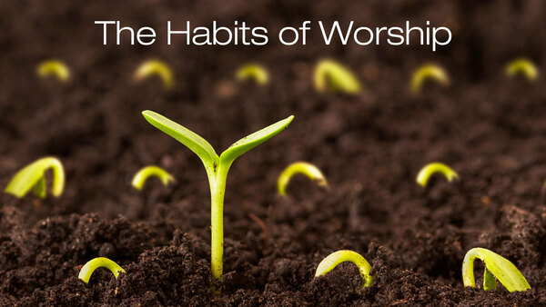 The Habits of Worship