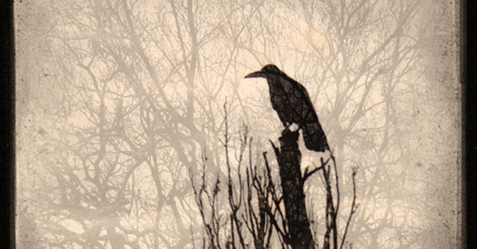 Sylvia Plath’s Advent Meditation: A blog post by Christopher Page image