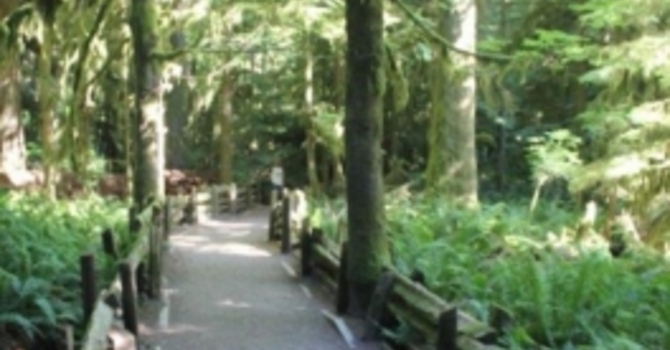 Annoiuncements April 30, 2017 image