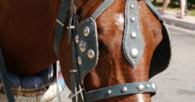 Announcements March 26, 2017 image