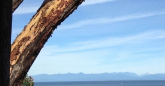 Announcements October 23, 2016 image