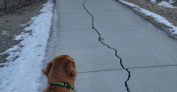 Announcements - February 17, 2019 image