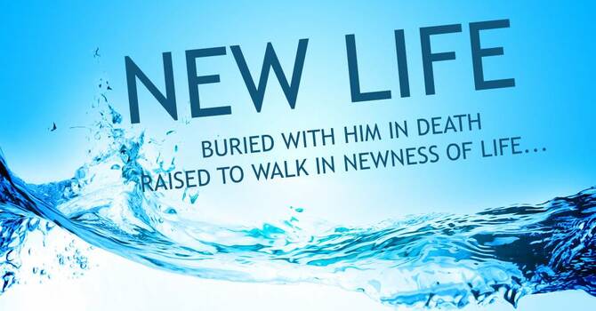 New Life image