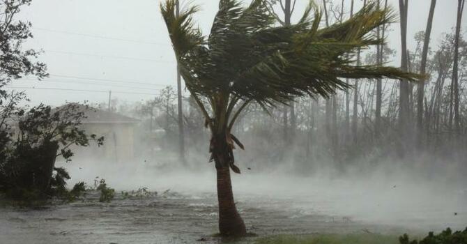 Hurricane Dorian relief image