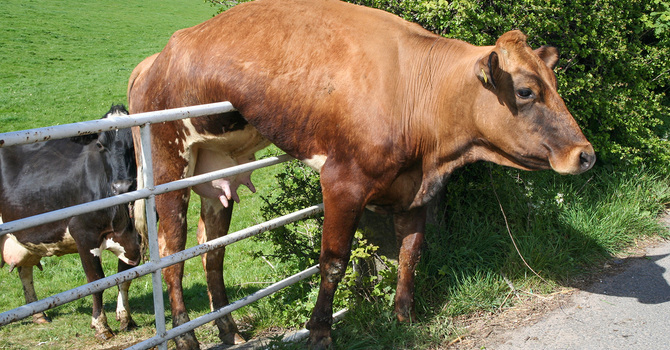 Being an Unstuck Church