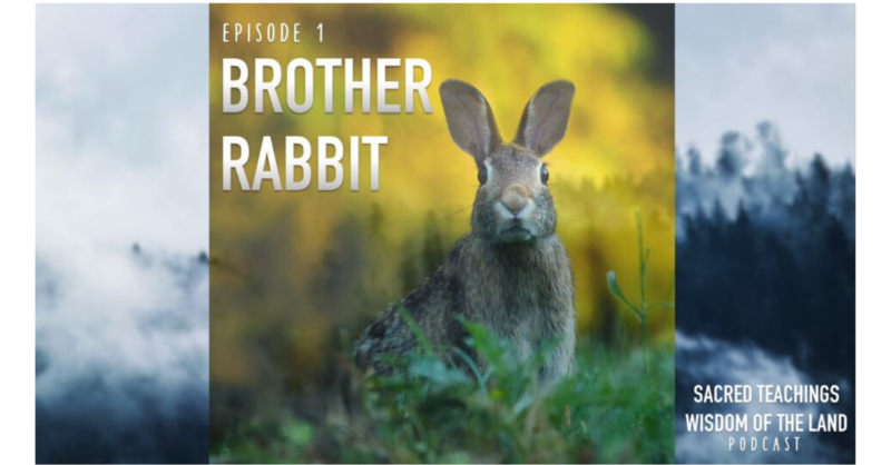Episode 1: Brother Rabbit