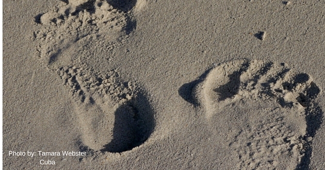 Announcements Mar. 6, 2016 image