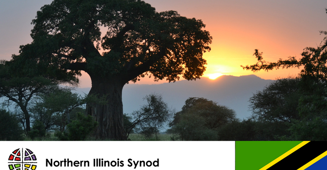 Planting seeds of partnership image