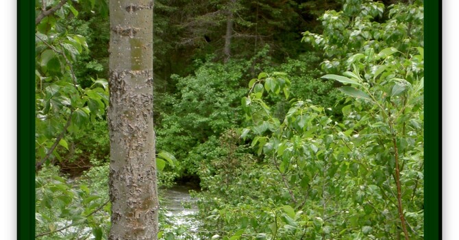 Announcements - February 23, 2020 image