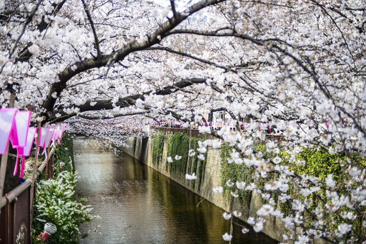 Slideshow image