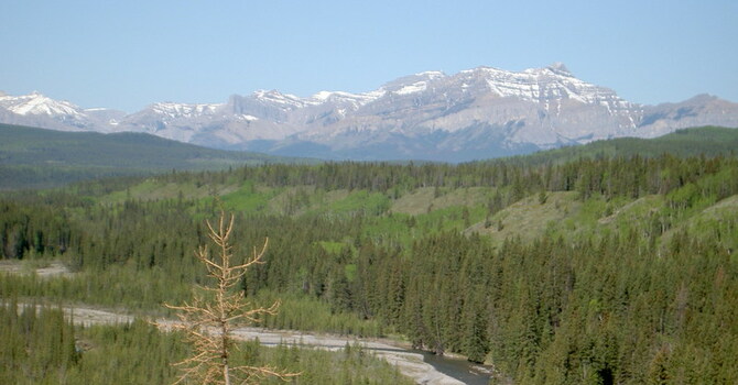 Announcements February 18, 2018 image