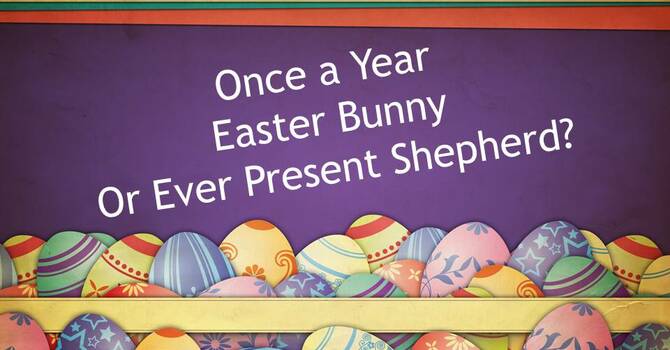 Once a year Easter Bunny or Ever Present Shepherd? image