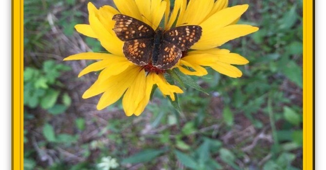 Announcements - December 1, 2019 image